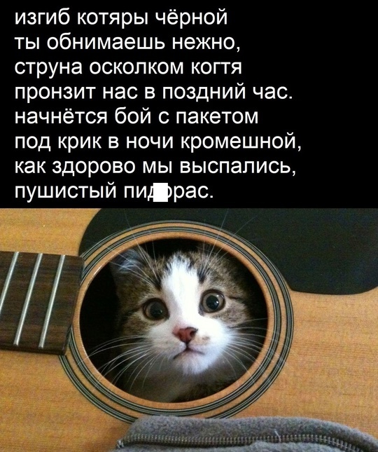   ,  , , , , ,   ,   , 