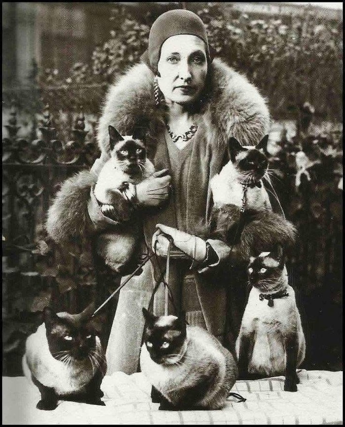   , 1930 , 