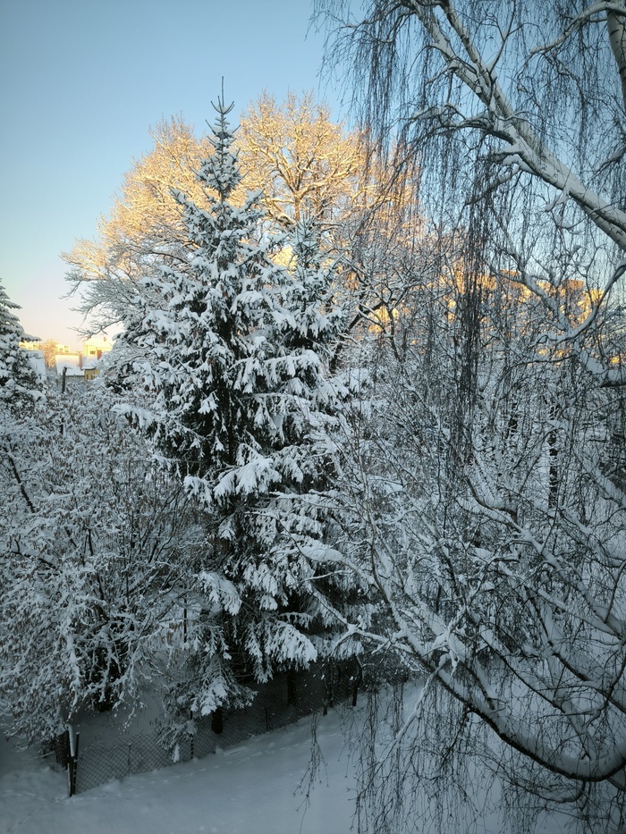 Так что же особенного? Сейчас коротко расскажу ⏬