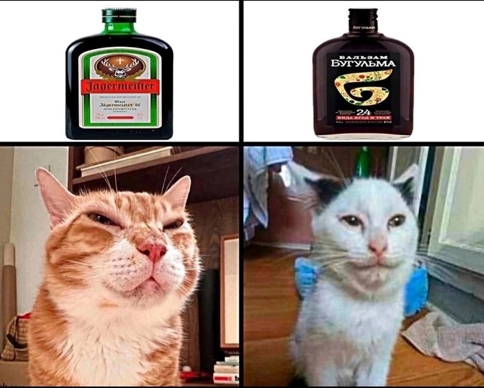 На чьем стороне ты?