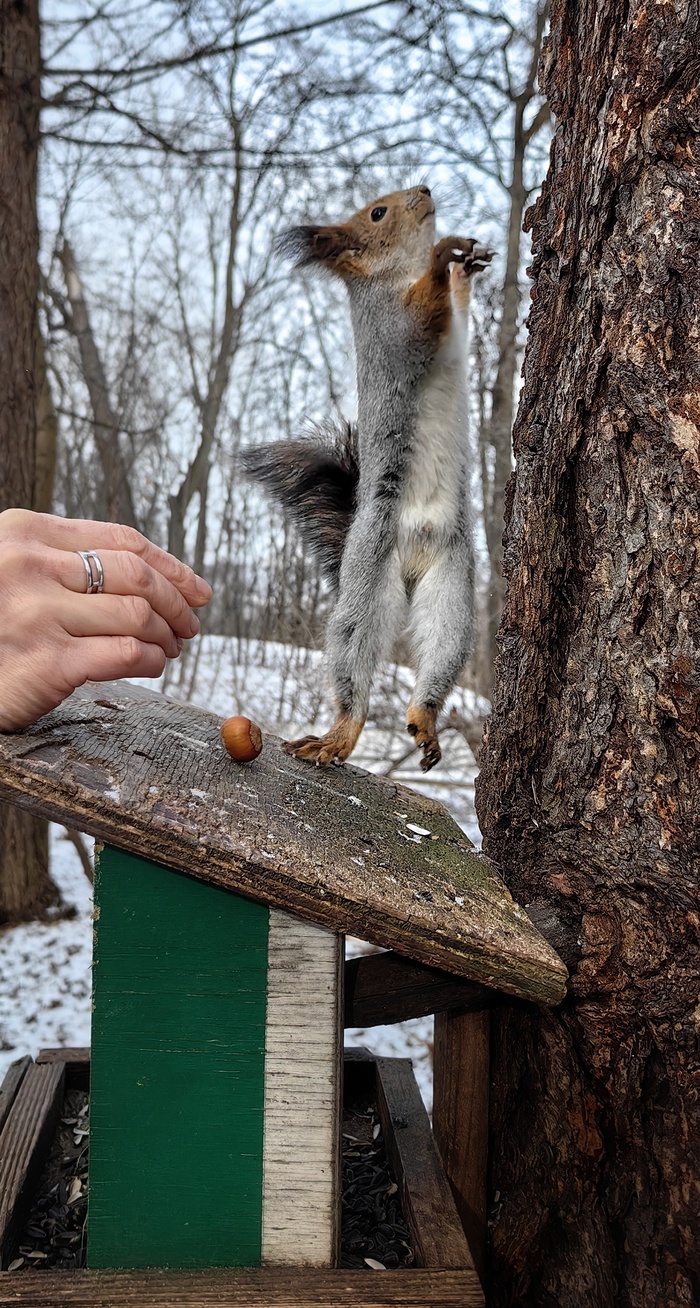 Танец природы