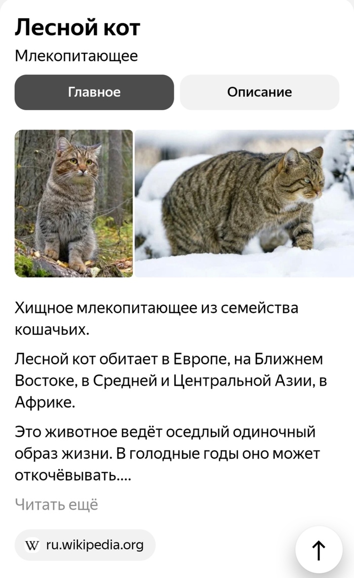    :    , ,  (), , , 