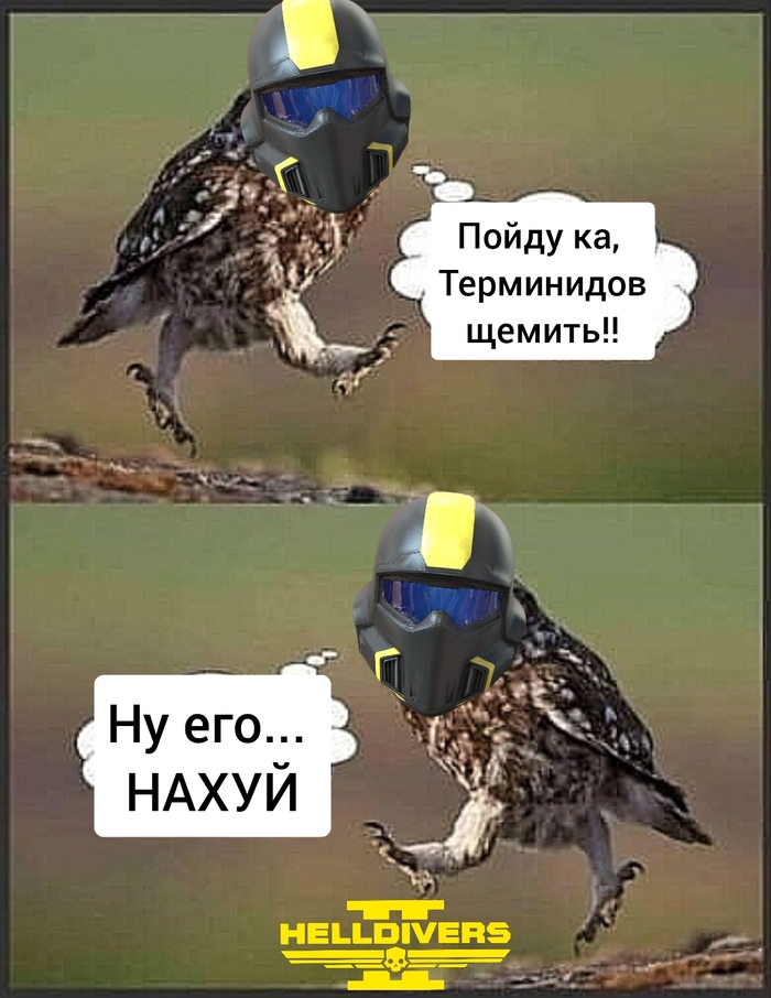  ... , ,   , Helldivers 2, , 