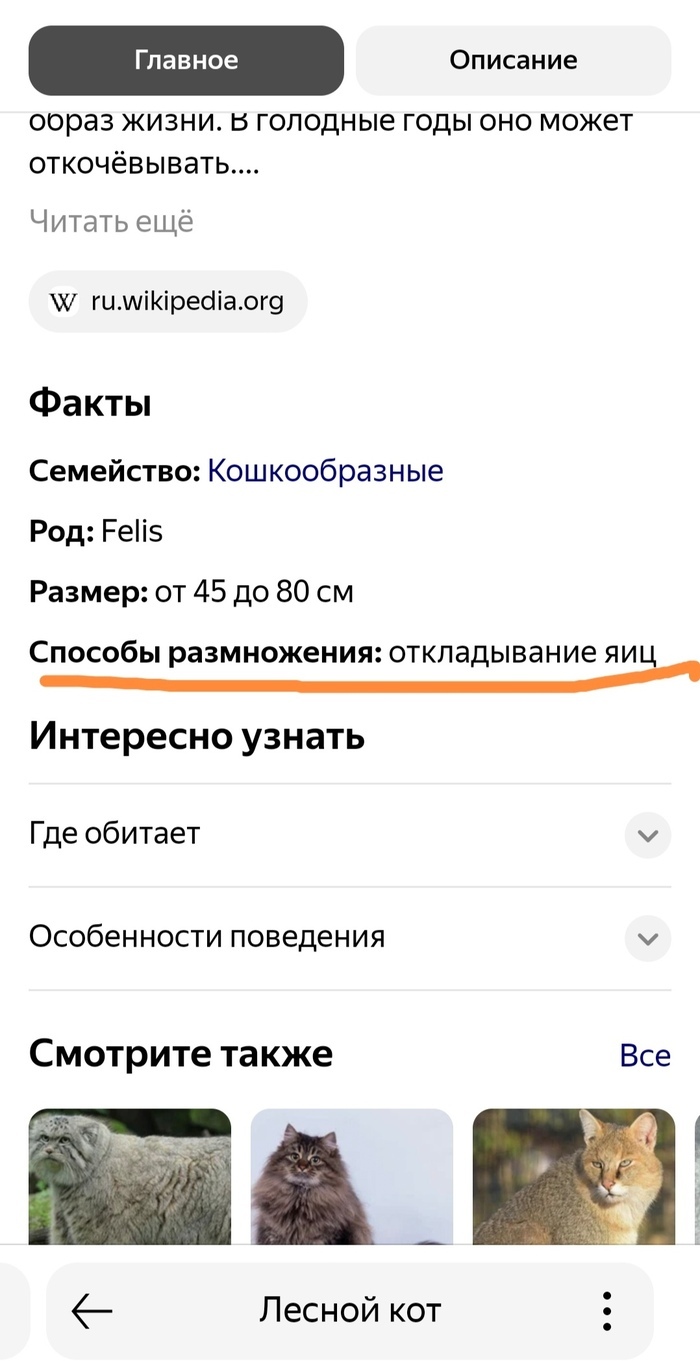 ��������� ��� ��������� �� ������ ��������� ������, ��������������� ���������. �� ��� ��� ���� ������ �� ���� ����