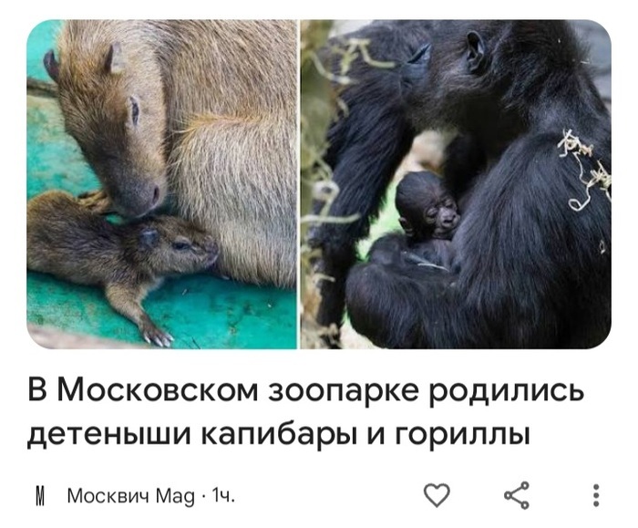 О бедном редакторе замолвите слово...