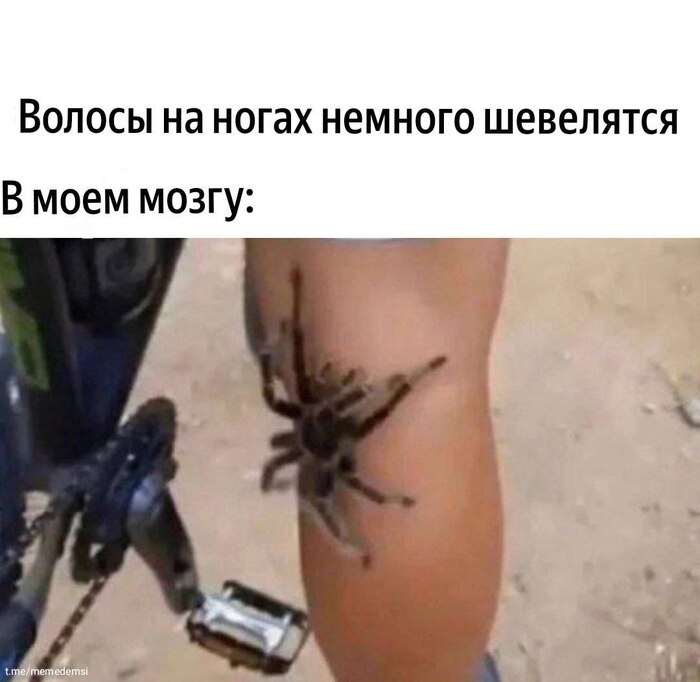 , 18+