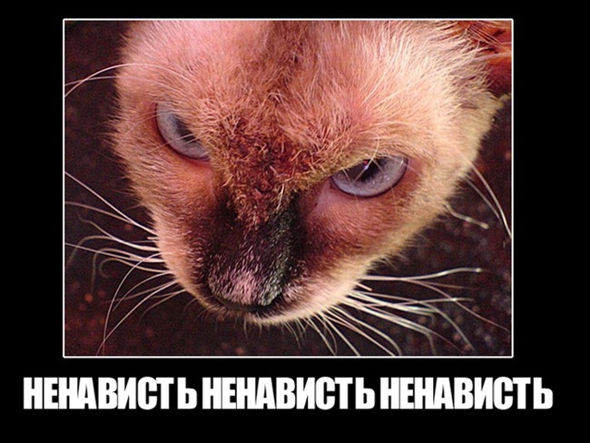   ! :)  ... :- , ,  