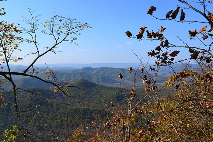 Вид на просторы национального парка «Земля леопарда» (юг Приморского края)