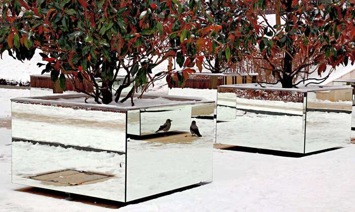 ���������, ���� ���������