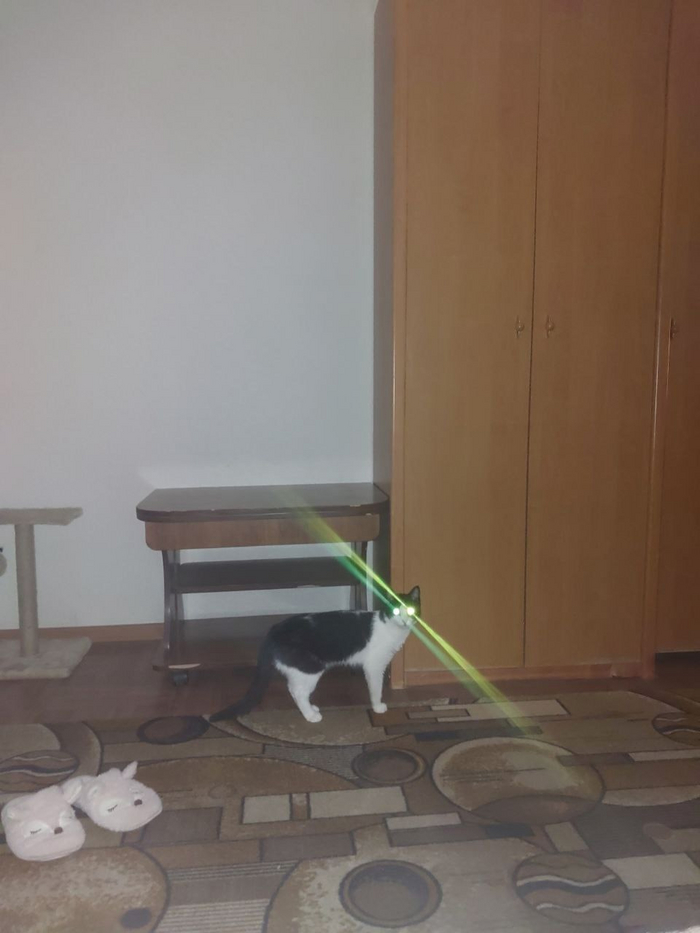 ��� ����� �����, � ������� ���� �������� �� ������ ���������