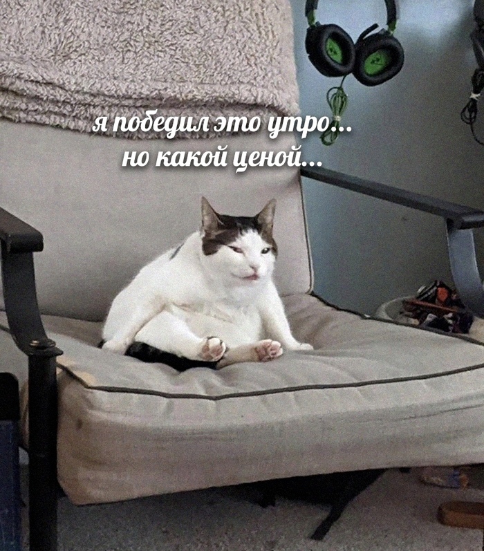     ? ,  ,  ,  , , , ,   