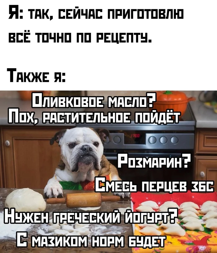 Everything is exactly according to the recipe... - Humor, Picture with text, Recipe, Dog