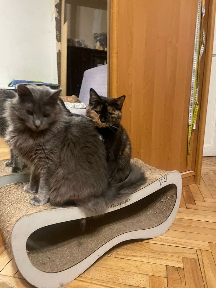 Понедельник. И когда уже ты пойдёшь на работу?