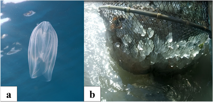  90-    400    !         .