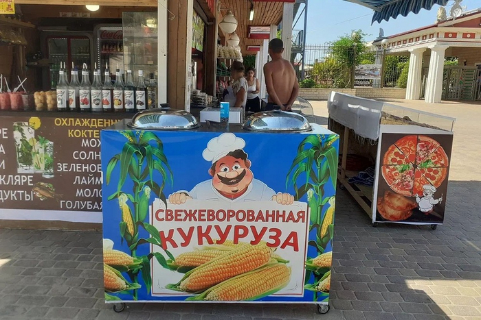   31  , ,  , , , , 