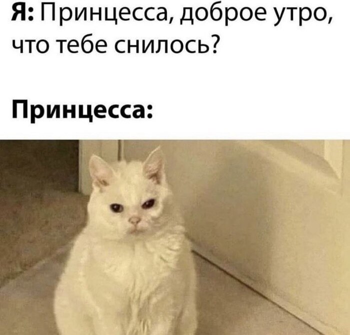   , ?