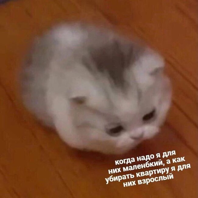  ,  , , ,  ,   