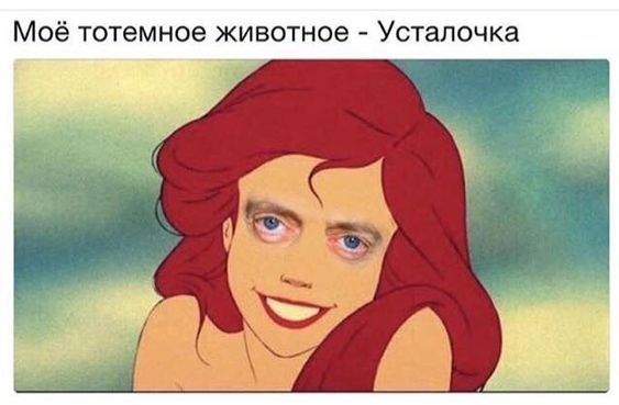      ?)
