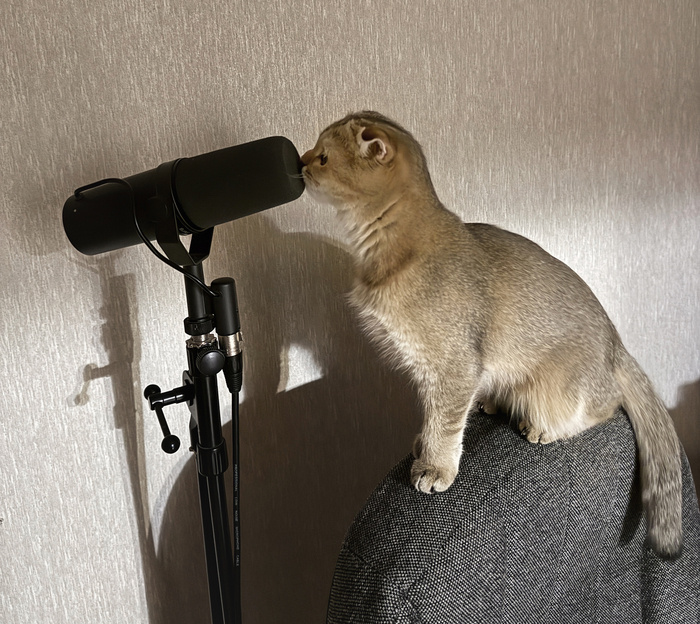 ��� �� �����