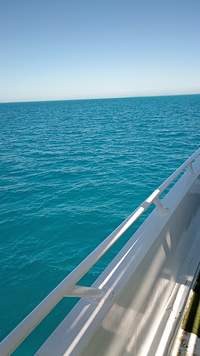 Все думал, где подвох?