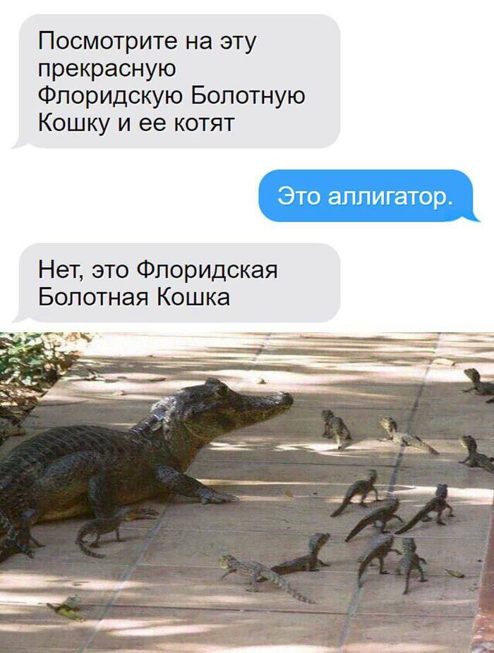 ,    ,   , , 