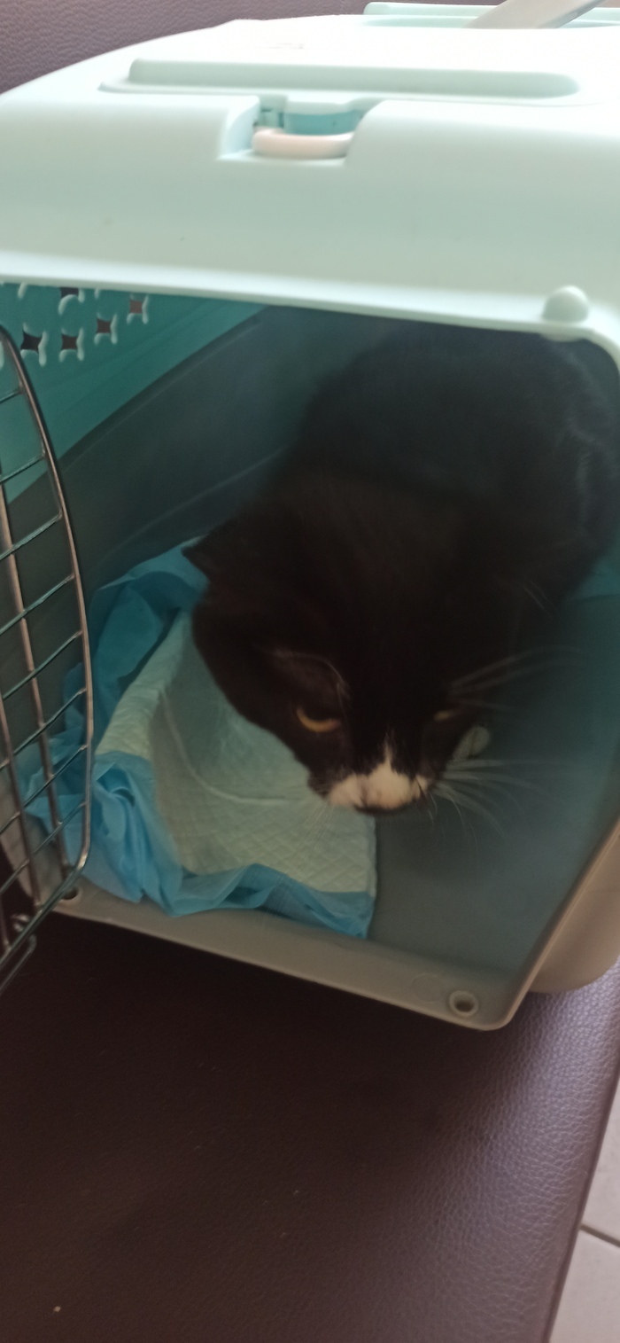 ������� �� ������ � ��������� ����