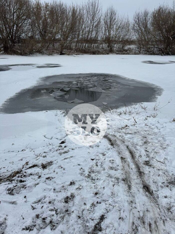 В Туле женщина утонула, спасая собаку