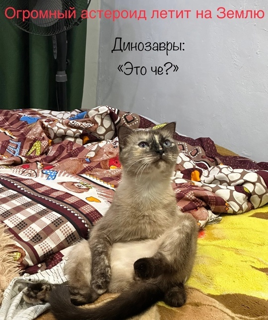    ,  , , , ,  ,  ,  ,  ,   