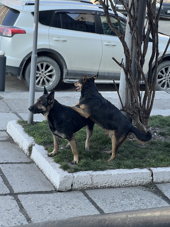 ���� ��� �� ����, ��� � ��� ������. �������� �� ��������� ��� ������� ������, ��� ���� ������� �������������...