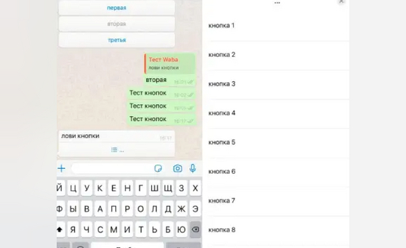 What's App -    -, , ,  , WhatsApp, ,  , , , 