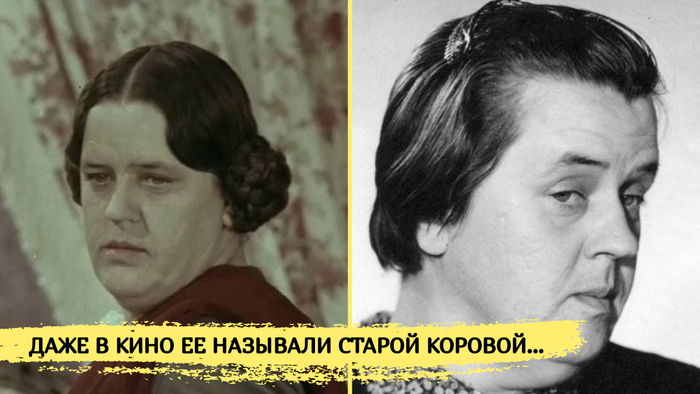      ,        ...  , ,   ,   , , , , ,  , Telegram (), , , , , 