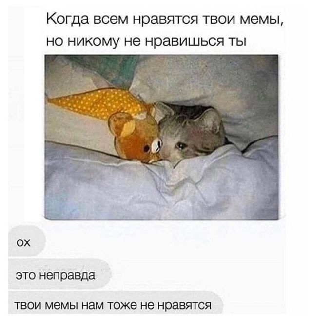 Буквально я после 10 лет на пикабу