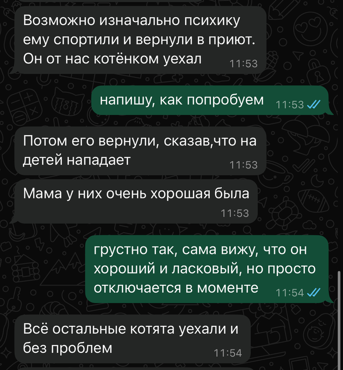 Переписка с хозяйкой приюта