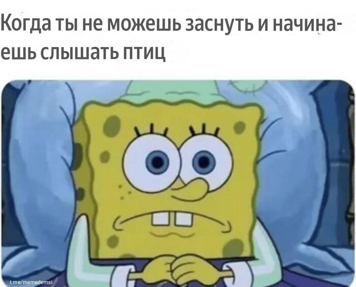 Это абсолютно 2 разных чувства, услышать птиц когда не можешь уснуть, и когда проснулся рано утром бодрым, выспавшимся