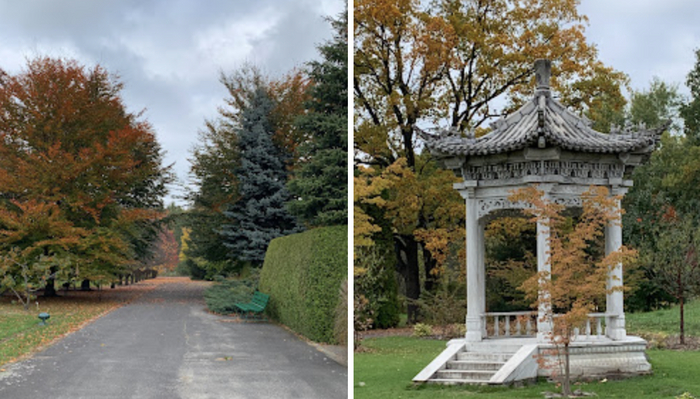 Zlota polska jeśeń - Польская золотая осень (PAN)