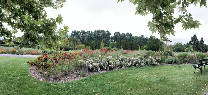 И лето... (PAN)