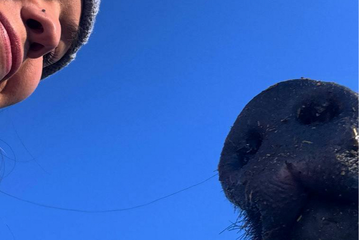 ���� ����