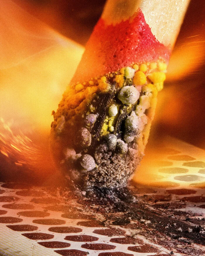 Несколько фото конкурса Nikon Small World - Макросъемка, Научпоп, Длиннопост