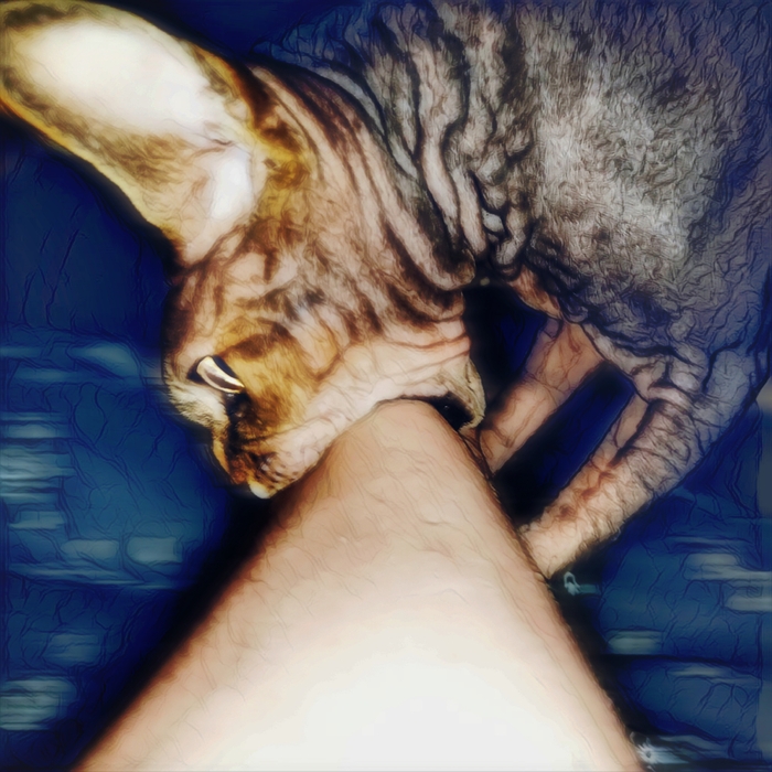    , , , 