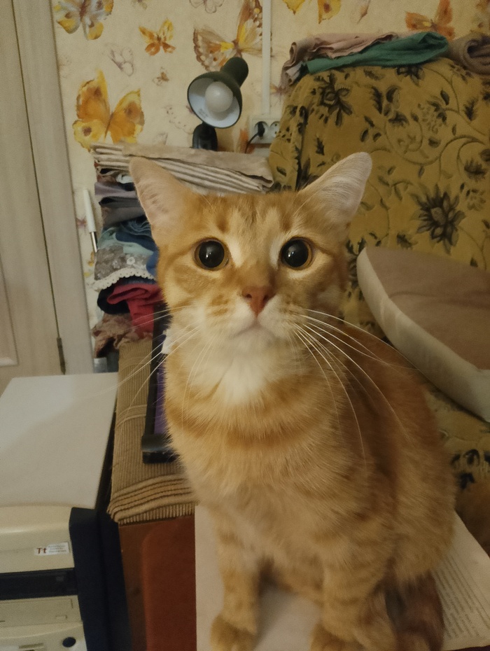 ������ ����� �����