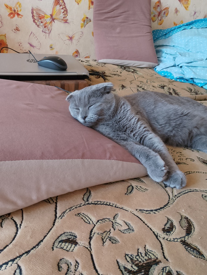 ������� ����� ������ �����:) 