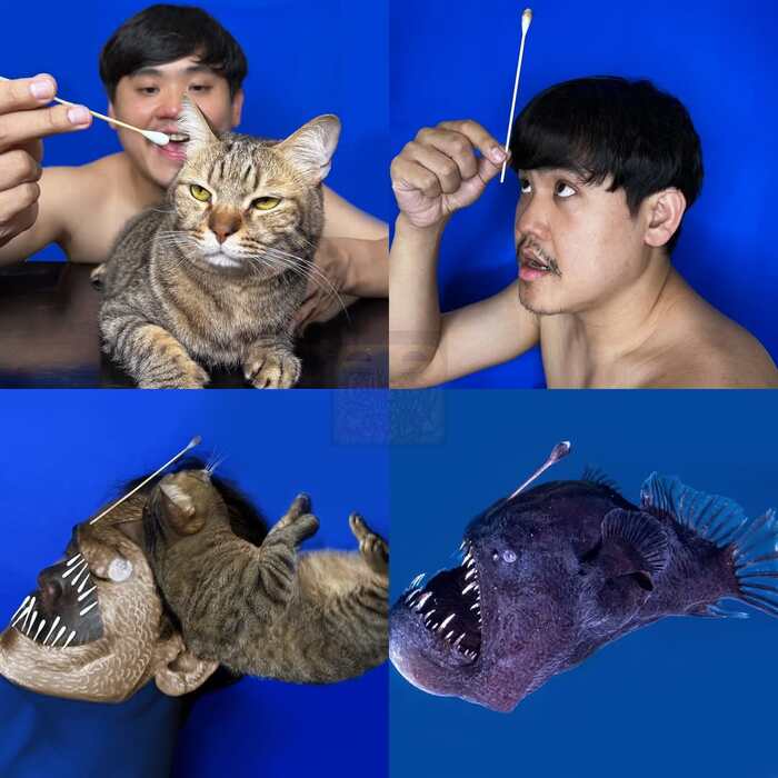  Lowcost cosplay,  
