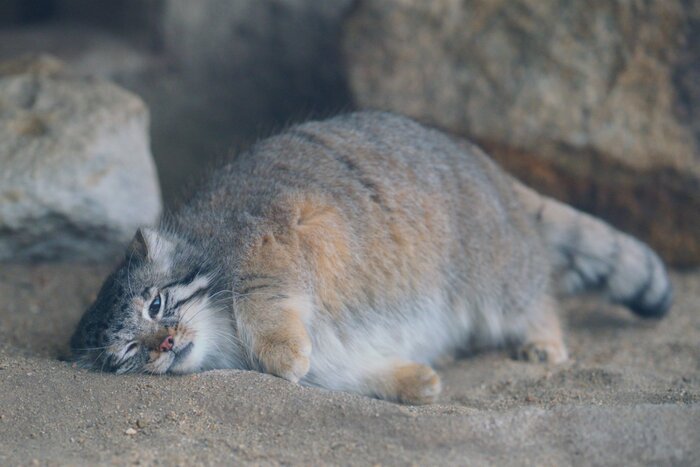 ���������...