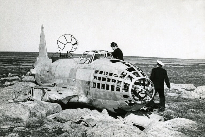   1981.  -4,           .