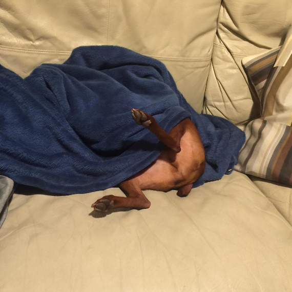 Тащи ещё одно одеяло!