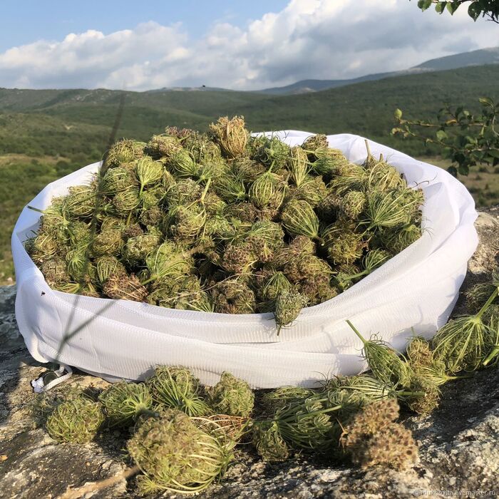    . .    <!--noindex--><a href="https://pikabu.ru/story/ovoshchi_morkov_12397608?u=http%3A%2F%2Fhij.ru&t=hij.ru&h=69fb088f29f3800d35cccb9bb317cc41fda9e2b2" title="http://hij.ru" target="_blank" rel="nofollow noopener">hij.ru</a><!--/noindex-->.