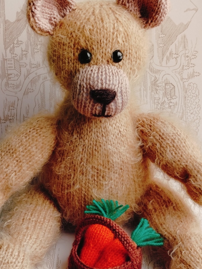 Новый медвежонок