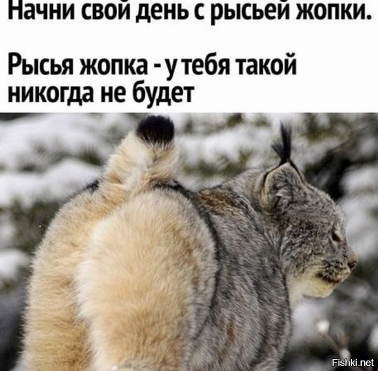      ! , , , ,   , ,   