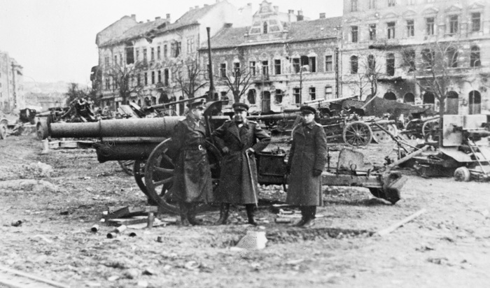    ( ),     ()    3-     ()   /  