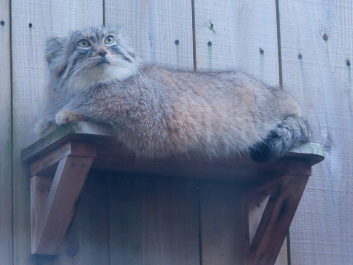 ���� ���������������...